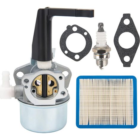 Carburateur 696065 (compatible avec les moteurs de motoculteurs rotatifs Briggs & Stratton 697422, 110402, 110412, 215369) (1/4)