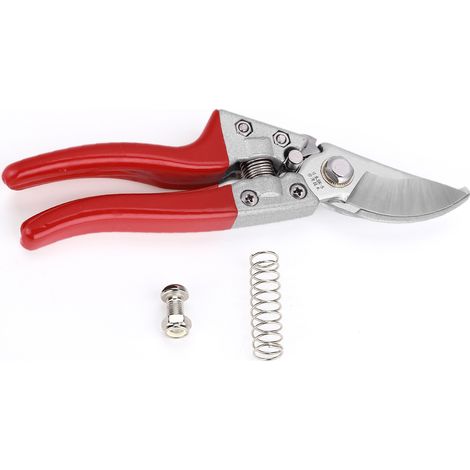 1Pc 8 pouces arbre fruitier bonsaï jardinage sécateur sécateur ciseaux greffage outils de coupe (1/5)