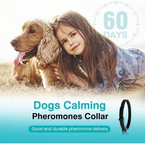 Set di 4 collari calmanti per cani, per alleviare l'ansia, con rilascio prolungato di feromoni per 60 giorni, efficaci contro l'ansia da separazione, misura 63,5 cm, regolabili, adatti a tutti i cani. (1/5)