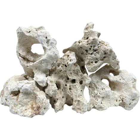 Philippinischer Kalkstein 10-20 cm (1/5)