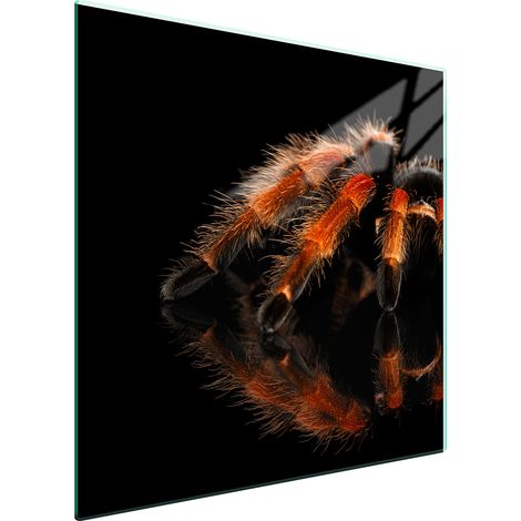 PIASTRA PROTETTIVA IN VETRO PER STUFA 50x52 SPIDER (1/5)