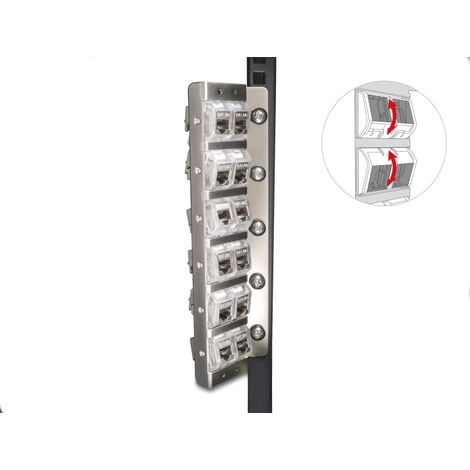 Delock Soporte Keystone de 12 puertos para rack de 10 y 19 y montaje en pared inclinable