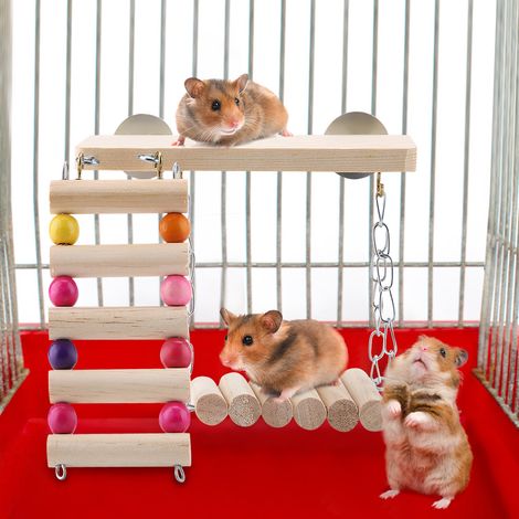 Lot de 3 jouets en bois pour perroquet, écureuil et oiseau : balançoire à ressort et échelle, accessoires pour cage (1/5)