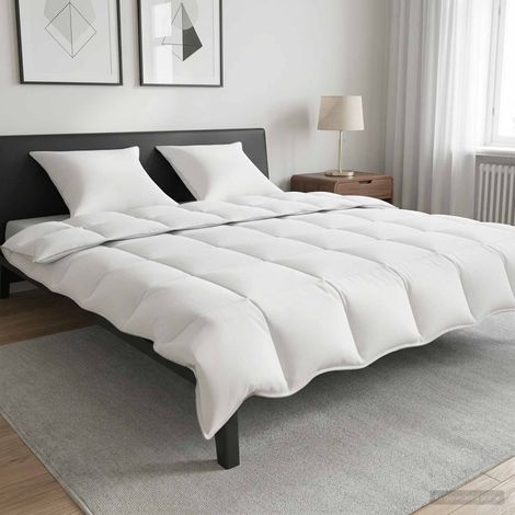 Irovami Couette 4 saisons, 200 x 200 cm, 250 g/m², fibre de bambou, blanche (1/5)