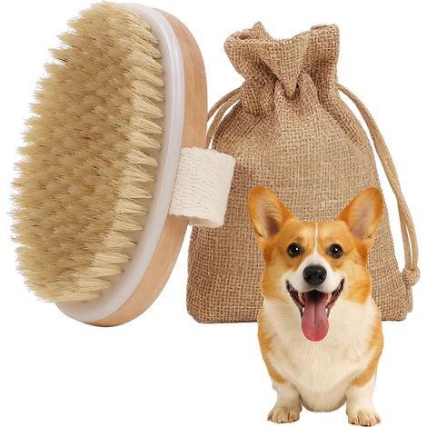 Brosse pour chiens et chats à poils courts, brosse à poils doux wxsp pour le toilettage des animaux, brosse de massage douce pour l'élimination des poils-AquaForge (1/5)