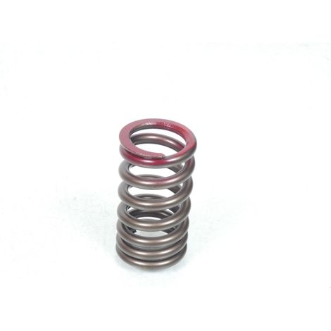 Ressort de soupape pour quad Suzuki 250 Ozark 2002 à 2016 (1/2)