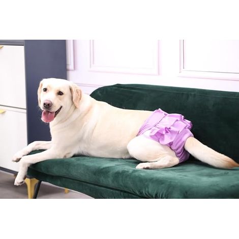 Dog Diapers, Underwear for Dogs, Dog Diapers, Absorbent Pants (L: 50-60 cm, Purple) (1/4)