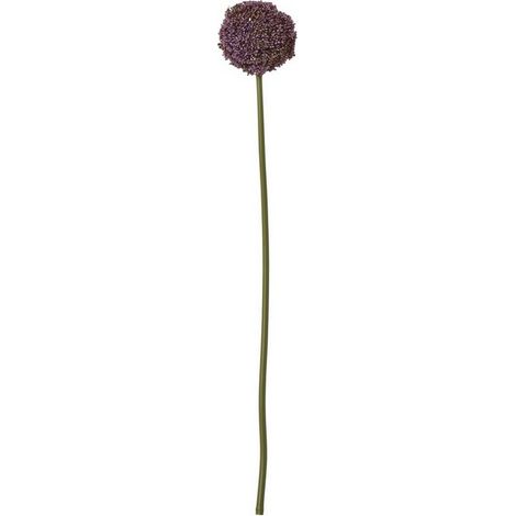 Allium (Single Stem Flower) - Plastic - Height 75 cm - Purple