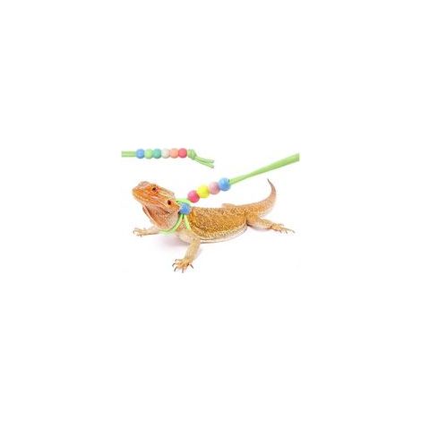 Bartagame-Leine und Leopardenmuster-Geschirr, Haustierleine, Echsenleine, Leuchtleine (bunte Perlen) (1/5)