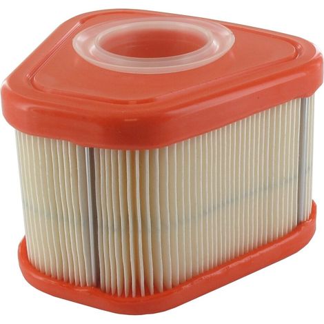Filtro aria BRIGGS ET STRATTON 595853