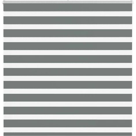 Doppelrollo Dunkelgrau 145x100 cm Stoffbreite 140,9 cm Polyester