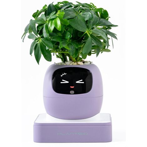 Intelligenter Blumentopf mit KI, Emoji-Display und Pflanzenpflege-Assistent, Lila (1/5)