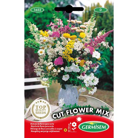 Graines de Mélange de Fleurs 10 g EC1652 Multicolore