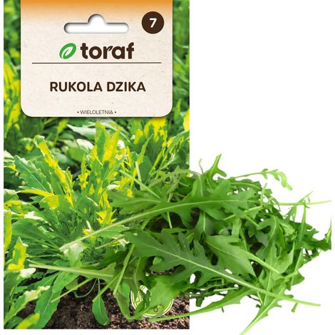 Semi di rucola selvatica, pianta perenne, foglie succose e speziate, W1188 1 g (1/5)