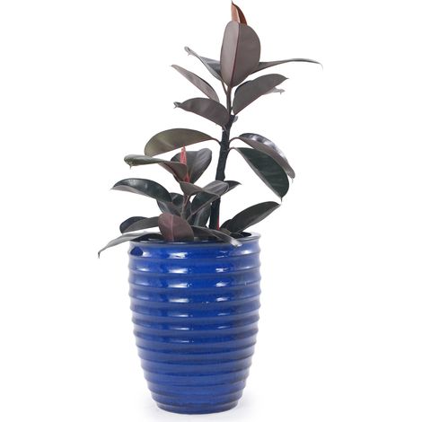 Pot de fleurs en céramique XXL Ø 42 x 54 cm, bleu saphir brillant rainuré, artisanal, respirant et résistant au gel pour grandes plantes d'intérieur et jardin  CHICFURN (1/5)