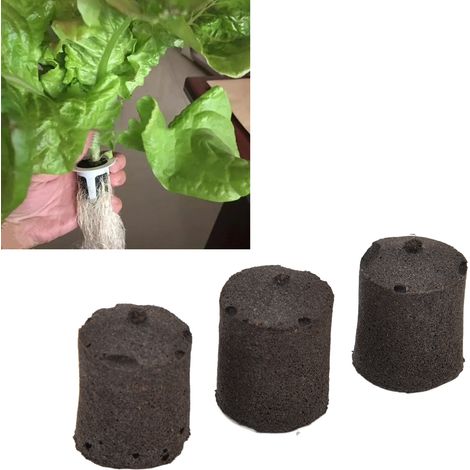 Mini bloques de germinación hechos de carbón de bambú, 50 unidades, para sustrato hidropónico – para el cultivo de plantas y semillas de flores (1/5)