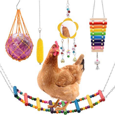 Jouets en chaîne pour poulet, accessoires pour poulailler, échelle pivotante, perchoir, Xylophone, miroir avec cloches, mangeoire suspendue pour légumes et Fruits (1/5)