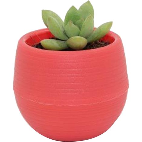 Pot de Fleurs en Plastique Rouge Vin pour Semis Miniatures - Jardin, Cour, Balcon