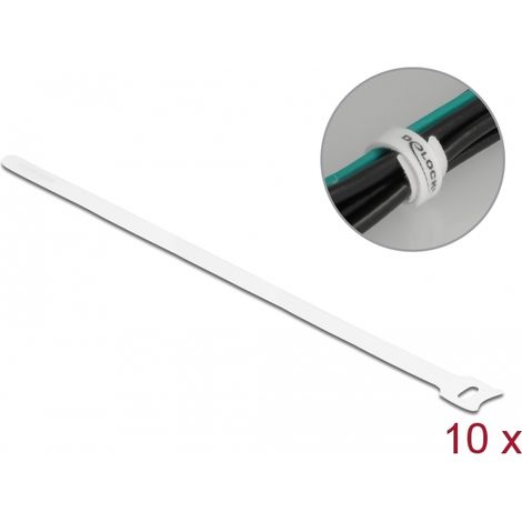 Delock Brida para cable con gancho y lazo LA 300 x AN 12 mm blanco 10 piezas