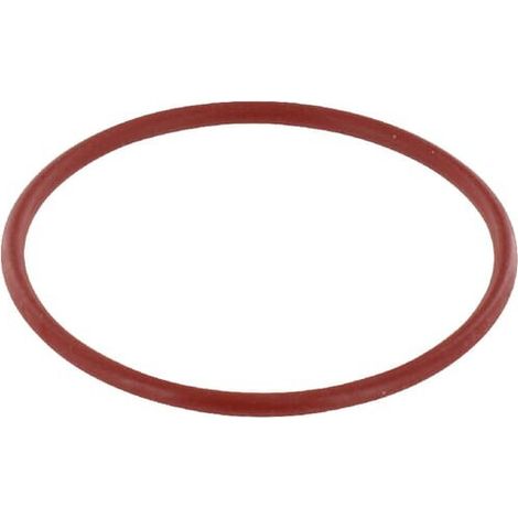 Thermostat O-Ring LOMBARDINI 1200091