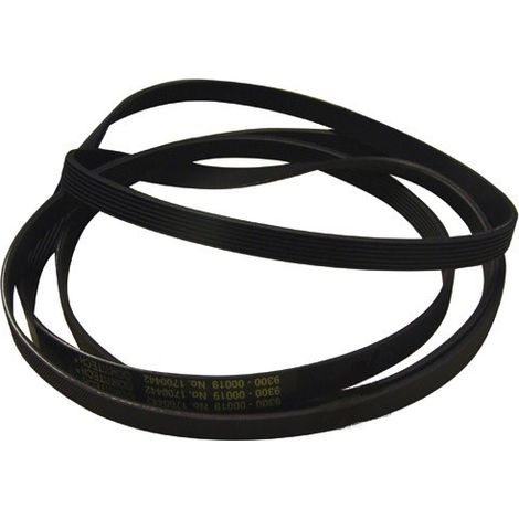 Courroie TL61 pour Sèche-Linge INDESIT C00112736