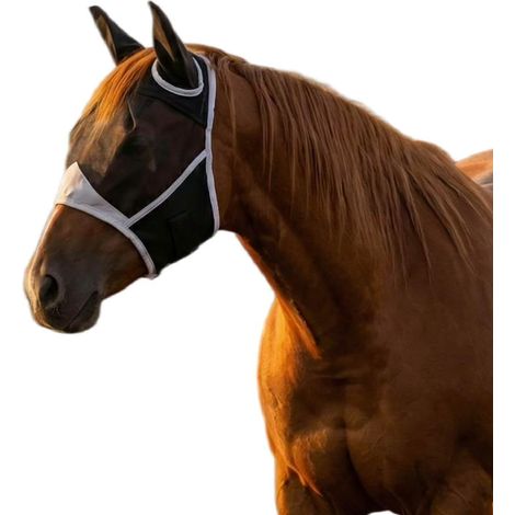 Masque Anti Mouche Cheval, Bonnet Anti Mouches Noir pour Chevaux avec Oreilles, Modèle One Piece, Maschera per Occhi in Maglia Traspirante per il Viso, Protection Anti-Tau pour Chevauxr (M) (1/5)