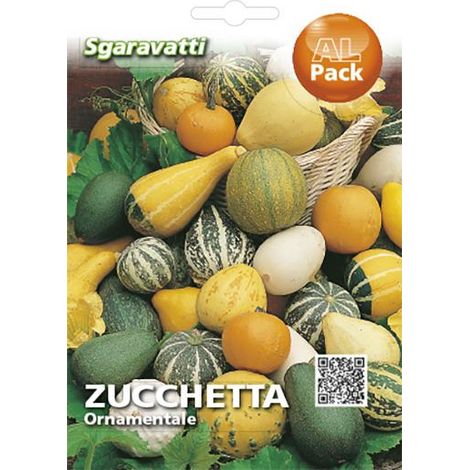 Semi per Prato Universale Zucchette Ornamentali Sgaravatti 20 Pezzi
