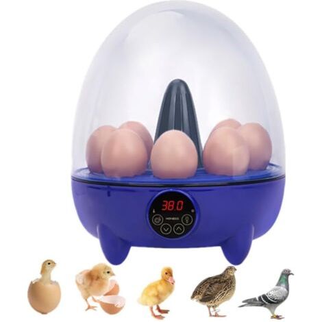 Incubateurs, incubateur de volaille 8 œufs avec contrôle de l'humidité et de la température, mini incubateur automatique pour poussins, cailles, canards, oies, oiseaux et dindes