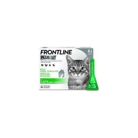 Frontline Plus Cat - 6 Pipettes - 748071