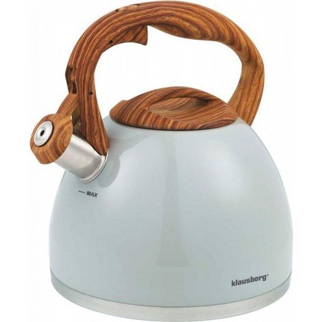 Bouilloire - 3 L - Acier Inoxydable - Pour Toutes Plaques Y Compris Induction - Avec Sifflet (1/5)
