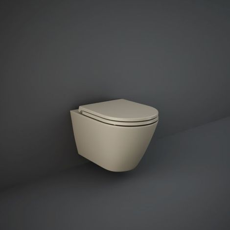 RAK Feeling WC Sitz RSTSC3901514, sandwich, soft close, cappuccino matt