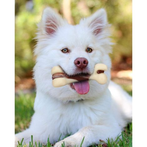 Jouet à mâcher en forme d'os pour chien 13 cm, résistant pour gros mâcheurs, saveur bœuf, jeu interactif (1/4)