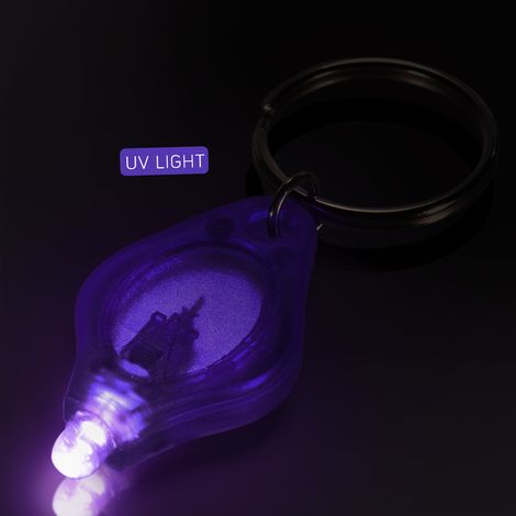 LED-Schlüsselanhänger mit Leuchtfunktion, Geldscheinprüfer, Mini-Leuchtschildkröte, lila Licht, 10er-Pack