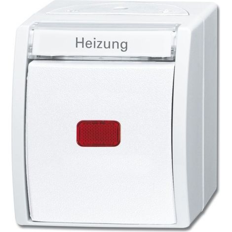 Busch-Jaeger Heizung-Notschalter 2601/6 SKWNH-54 (1/4)