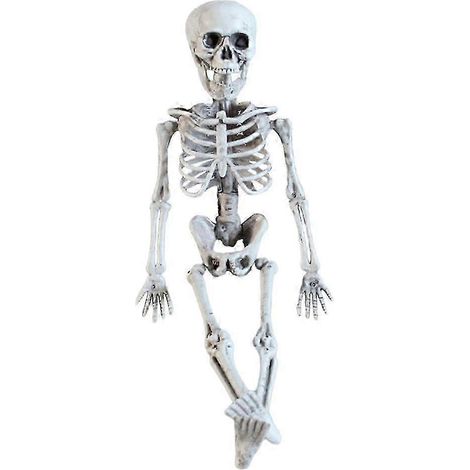 Squelette d'Halloween - Décoration squelette pour jardin ou terrasse