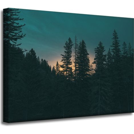 Impression sur toile Nature Forêt au crépuscule 40x30 cm Obscurité