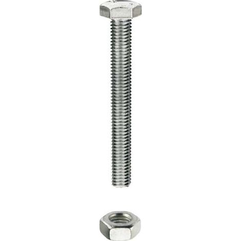Bulloni testa esagonale M6 x 30 - 100 pz.