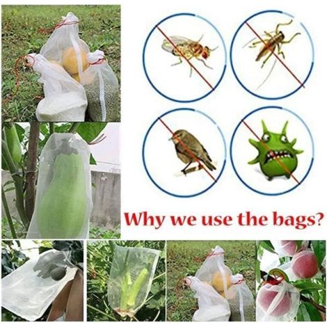 50 sacchetti protettivi in organza riutilizzabili per uva con coulisse in rete (1/3)