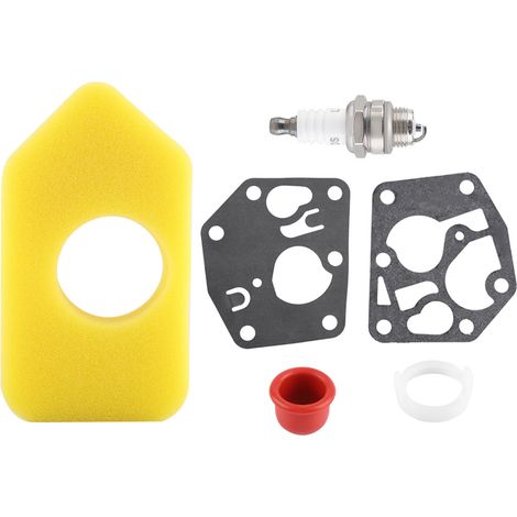 Kit Joint de Carburateur Filtre à Air Bougie pour Moteurs Briggs & Stratton, Pièces de Rechange Multi-Moteurs (1/5)
