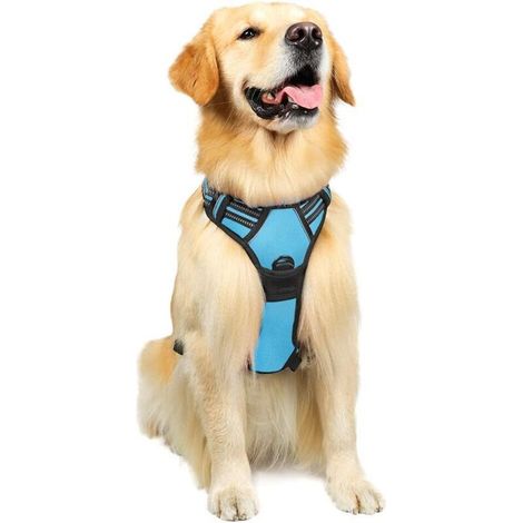 Harnais Chien L Arnais Bleu Clair Anti Traction Réfléchissant Gilet Réglable pour Chien Grand Taille, Attache Devant Crochet de Laisse pour Trajet Voiture, American Staff, Border Collie-Ensoleillé (1/5)