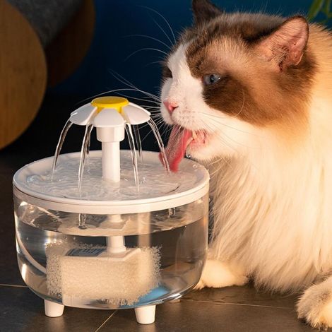 Fontaine à Eau pour Animaux de Compagnie 15 x 15 x 16 cm, Fontaine à Eau pour Animaux domestiques, Fontaine à Eau silencieuse pour Chat de 1 L pour Boire, Distributeur d'eau électrique