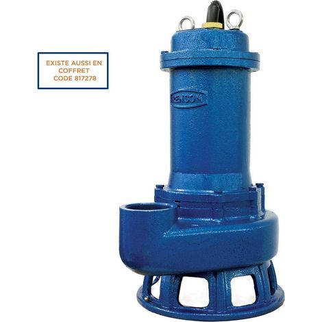 POMPE DE RELEVAGE TRI FONTE ROUE MONOCANALE 2,2KW DN65 RENSON (1/2)