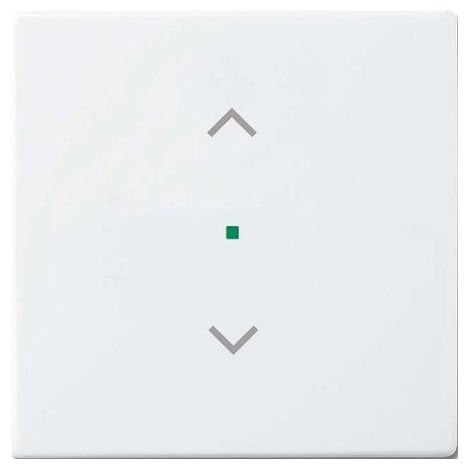 BUSCH-J. WIPPE 1-F SYMBOL JALOUSIE STUDIOWEIß 6232-10-84 BUSCH-JAEGER 6220-0-0040