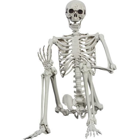 Squelette d halloween 165 cm Taille réaliste Squelette Humain avec articulations Mobiles Décoration de Maison hantée (1/4)