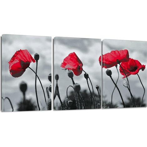 Leinwandbilder 3 Teilig Kunstdruck Motiv Wandbild Rote Blume 30x40cm (1/5)