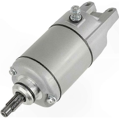 Pièce de rechange pour démarreur de quad TRX300 281cc et ATC250ES BIG RED 246cc (1/4)