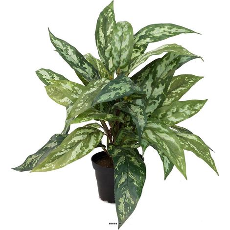 Aglaonema plante artificielle en pot H 37 cm très dense (1/3)