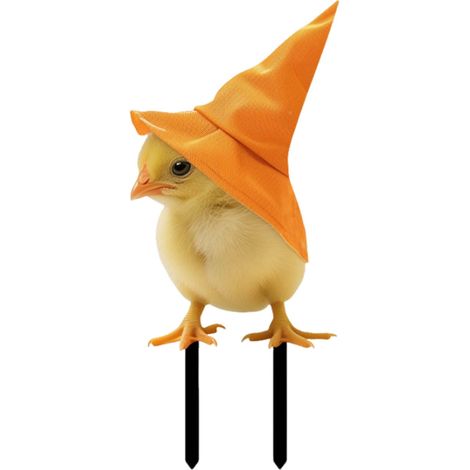 Décoration Métallique Halloween Poule Et Poussin Chapeau De Sorcière Piquet De Jardin Extérieur 1 Pièce (1/5)