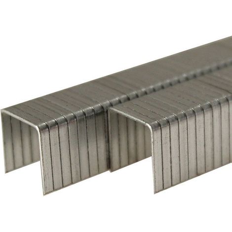 Agrafes Bostitch 13 2x18 mm 4000 pcs . TYPE 110 acier