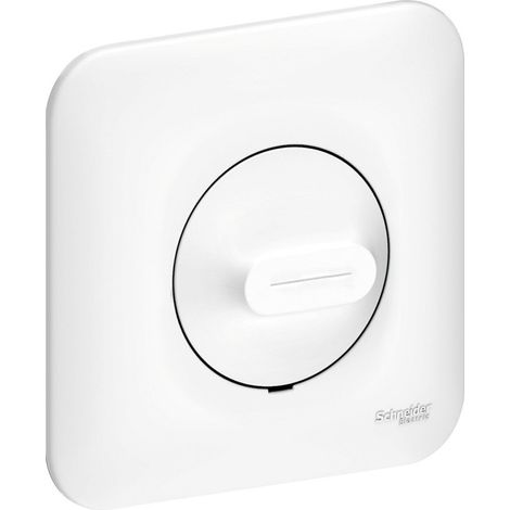 Schneider Electric – Variateur de lumière complet – Mode de pose électricité – Pour charges spéciales fluo 9-100W – Plaque de finition OVALIS
